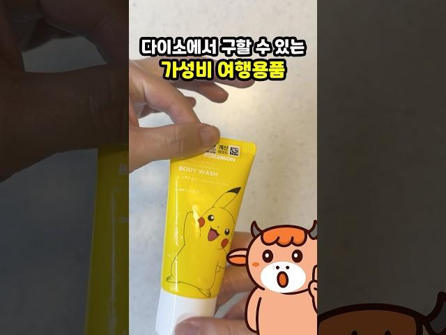 다이소에서 구할 수 있는 가성비 여행용품