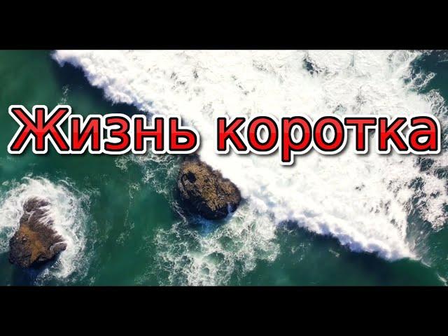 Жизнь коротка