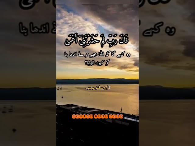 QURAN RECITING ️ | QARI DANISH MEHBOOB | WHAT'S APP STATUS 