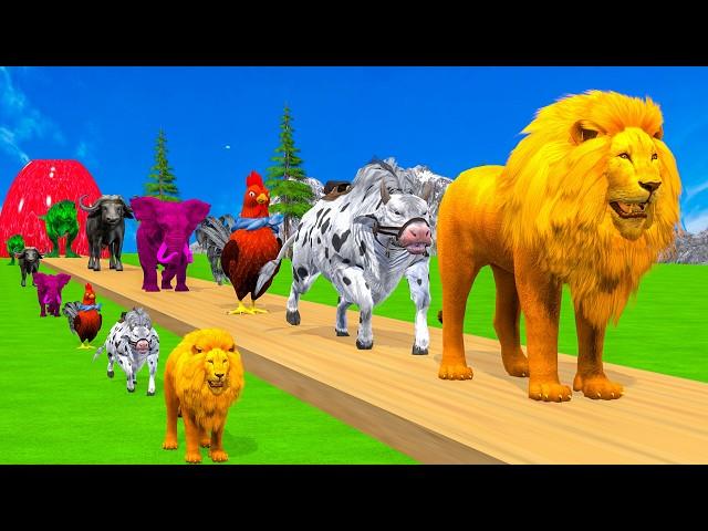 Paint & Animals Duck,Gorilla,Lion,Elephant,Cow,Sheep Fountain Crossing Transformation Animal Cartoon