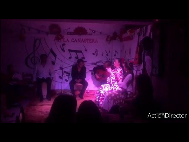 Tablao FLAMENCO la canastera Almeria