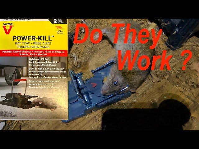 Victor Power Kill Rat Traps, Do They Work?