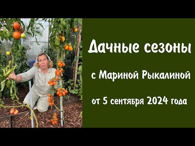 Дачные сезоны с Мариной Рыкалиной от 5 сентября 2024 года