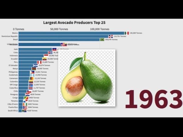 Largest avocado producing countries 1961-2018