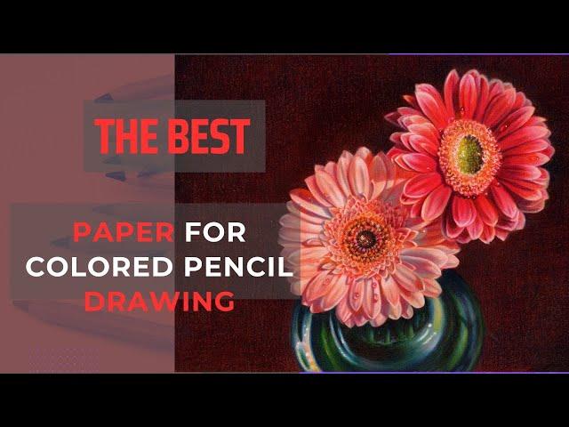 How to create mind-blowing drawings using 4 BEST Papers for colored pencil drawing, Veronica Winters