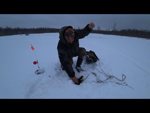 ЖЕРЛИЦЫ НА ОЗЕРЕ БЕЗ ПРИСМОТРА 48 ЧАСОВ, ЕДУ ПРОВЕРЯТЬ! С НОВЫМ ГОДОМ БРАТЬЯ РЫБАКИ И СЁСТРЫ РЫБАЧКИ