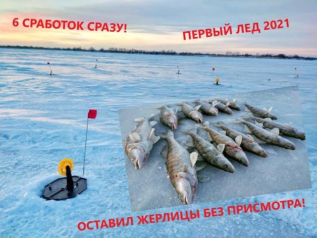 Зимняя рыбалка 2021! 6 СРАБОТОК СРАЗУ? Ловля судака на жерлицы.