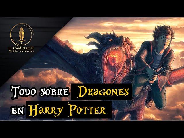 Todo lo que tienes que saber sobre Dragones si eres fan de Harry Potter