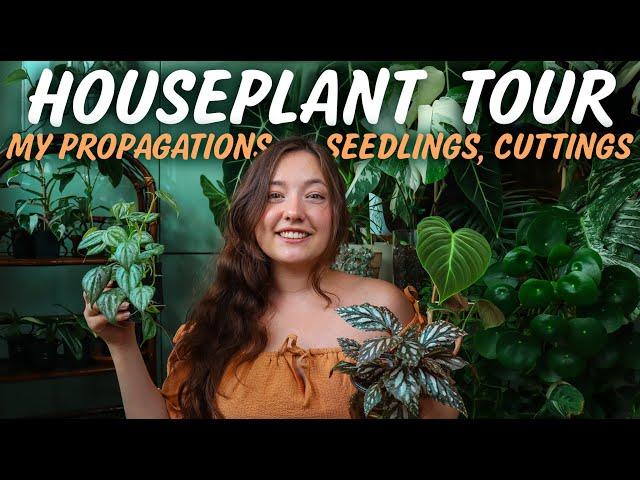 INDOOR PLANT TOUR | My entire Propagation Collection