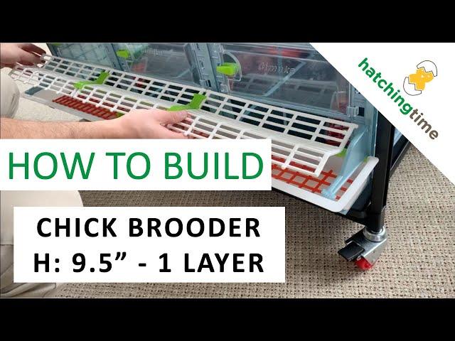 Chick Brooder - H: 9.5" - 1 Layer (Assembly Instructions - Hatching Time) Cimuka