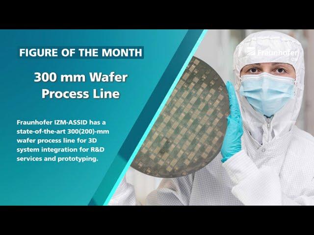 RealIZM Figure of the Month: 300 mm Wafer Process Line