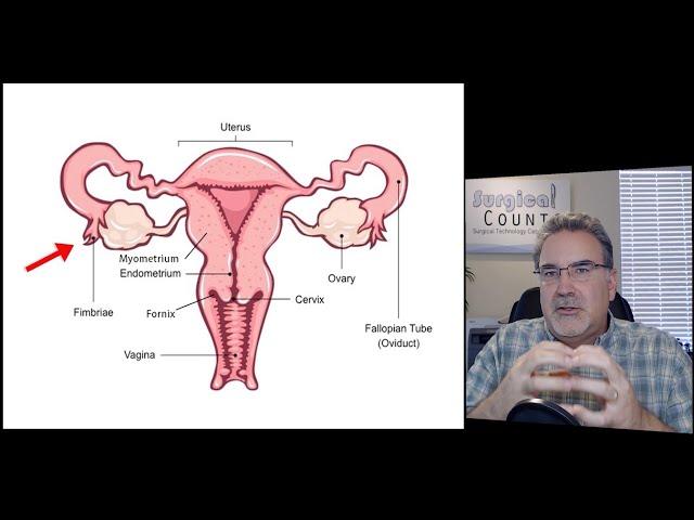 Surgical Technology Preview - OB/GYN Surgery