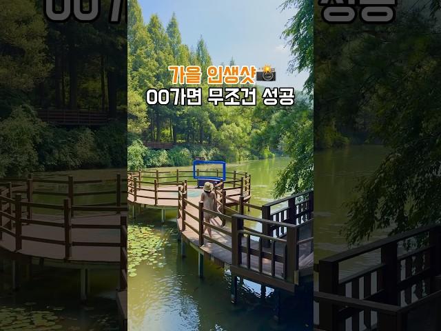 충북 여행 추천! 가을엔 무조건 여기다!!