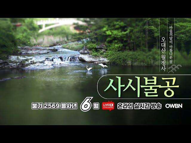 2025 을사년 6월 21일 토요일  | OWBN 오대산 월정사 사시불공 |