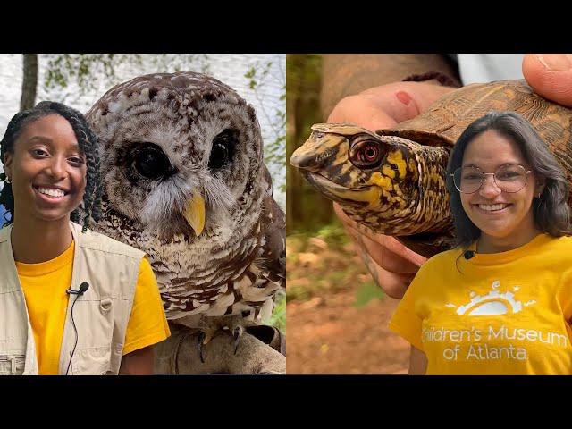 We Visit the Chattahoochee Nature Center!