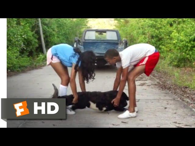 Bad Lucky Goat (2017) - Watch Out for the Goat! Scene (2/6) | Movieclips