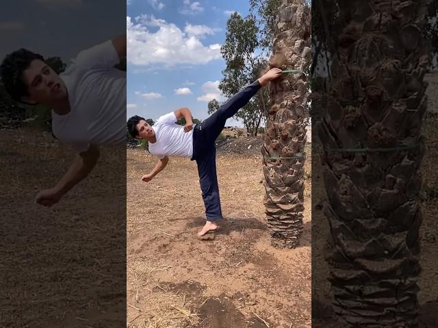 Break a tree branch !!