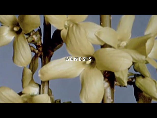 $UICIDEBOY$ - GENESIS (Lyric Video)