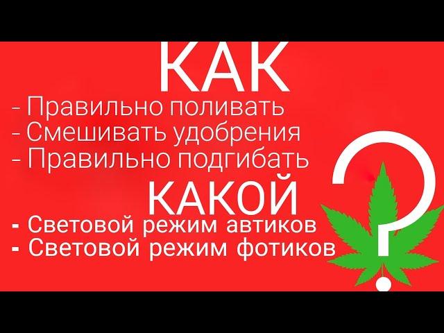 СВЕТОВОЙ РЕЖИМ АВТИКОВ / ФОТИКОВ/ КАК ПОЛИВАТЬ / КАК СМЕШИВАТЬ УДОБРЕНИЯ / КАК ПОДГИБАТЬ / ГРОВ