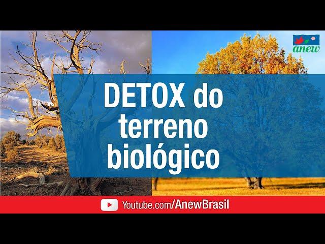 Detox do Terreno Biológico