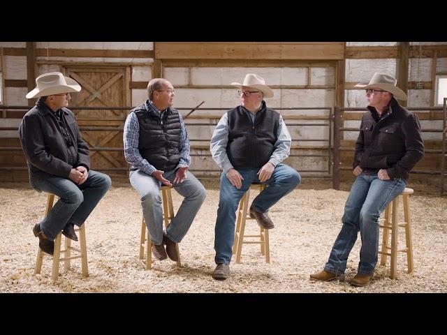 Investing in Cattle: Why Testing Today is Crucial | Zoetis Livestock Genetics