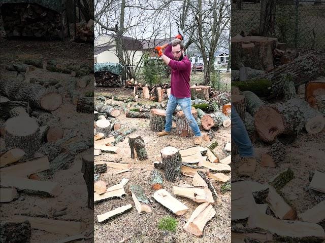 Thick, KNOTTY Ash Logs split with the 6 LB Splitting Maul #firewood #asmr #splittingfirewood