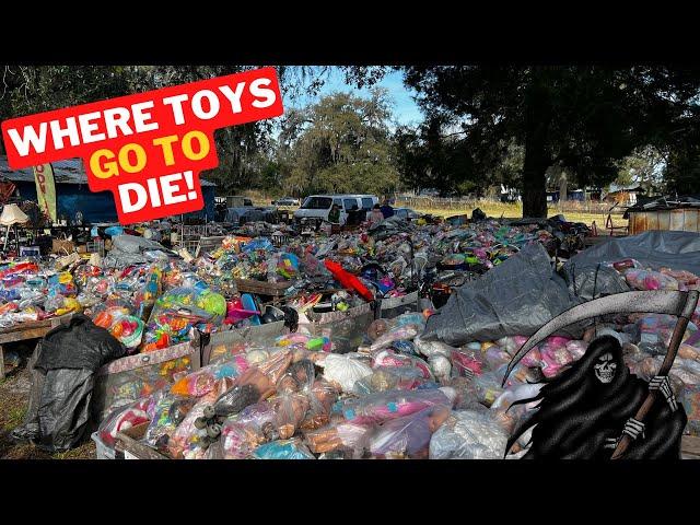 I Discovered an INSANE TOY GRAVEYARD at This Flea Market...