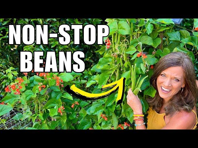 Do This For NON-STOP Beans!