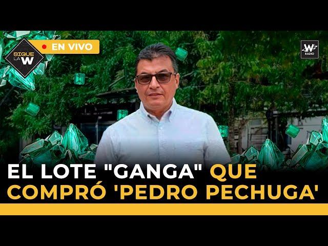 'Pedro Pechuga' y su lote "ganga" / Jineth Bedoya: el fondo para periodistas víctimas de violencia