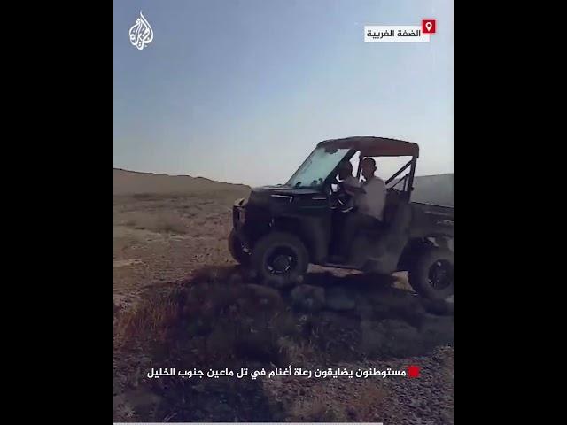 مستوطنون يضايقون رعاة أغنام في تل ماعين جنوب الخليل