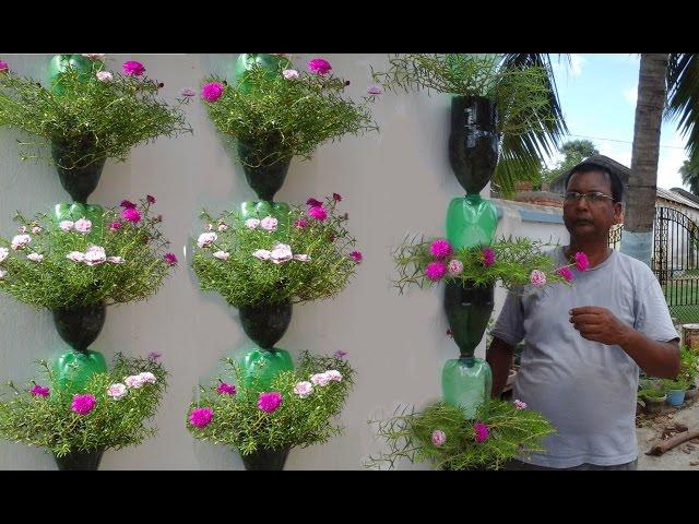 Tree planting in hanging bottles on wall