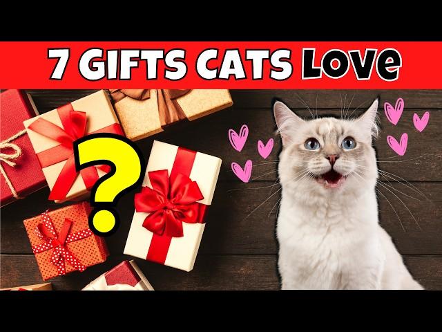 7 Gift Ideas Your Cat Will Absolutely Love