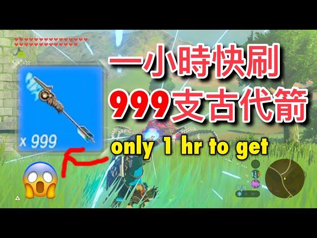 The legend of Zelda (BotW) Get 999 Ancient Arrow in one hours