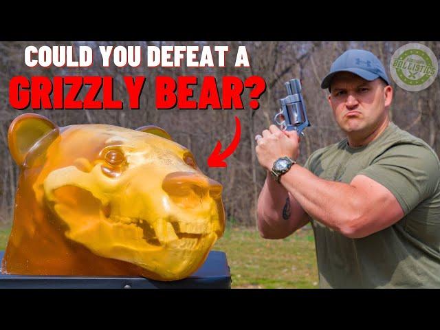 Could You Defeat A GRIZZLY BEAR ???