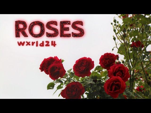 Wxrld24 - ROSES (Juice WRLD Cover)