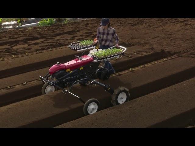 Vegetable Transplater PH1-WA