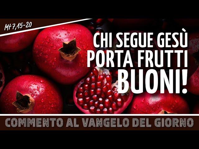 Commento al #vangelodelgiorno - CHI SEGUE GESÙ PORTA FRUTTI BUONI! - Mt 7,15-20