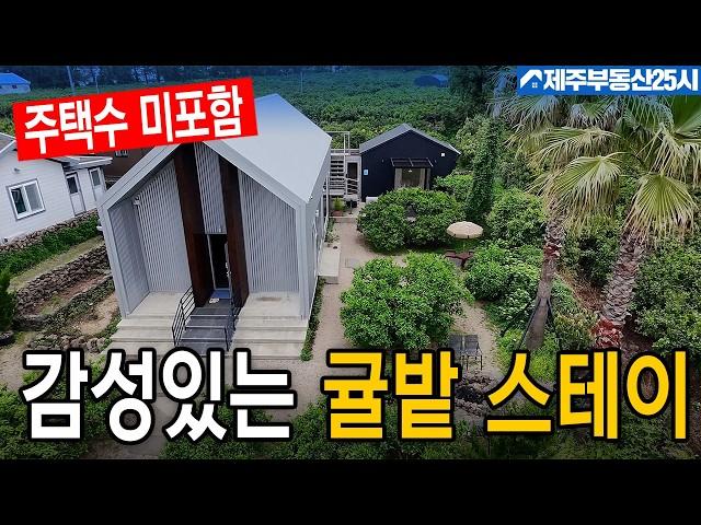 [매물번호0519] 평균 1박 50만원대 감성 숙소로 운영 잘 되고 있는 390평 대지 귤밭과 스테이 #제주도부동산