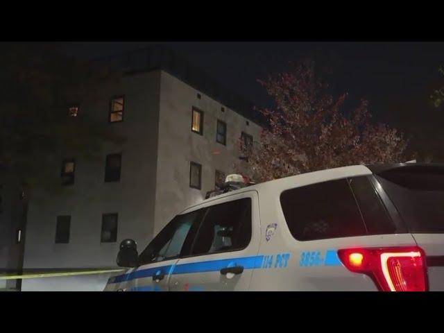 Mother jumps from window to escape son in NYC: police