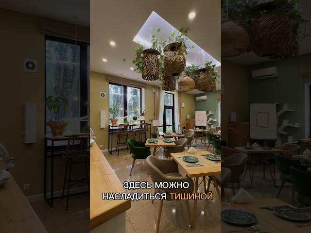 ЭКО-РЕСТОРАН С ШОУ-КУХНЕЙ В ОТЕЛЕ PORTO MARE!