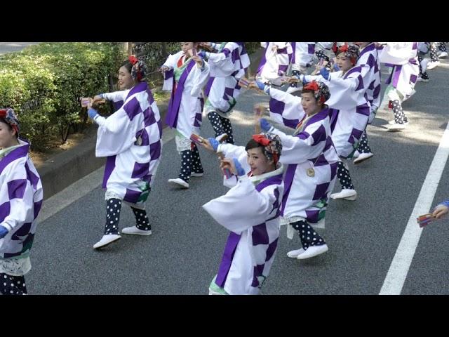 [4K]天空しなと屋茜丸~みあげれば~原宿表参道元氣祭スーパーよさこい2018 表参道アヴェニュー