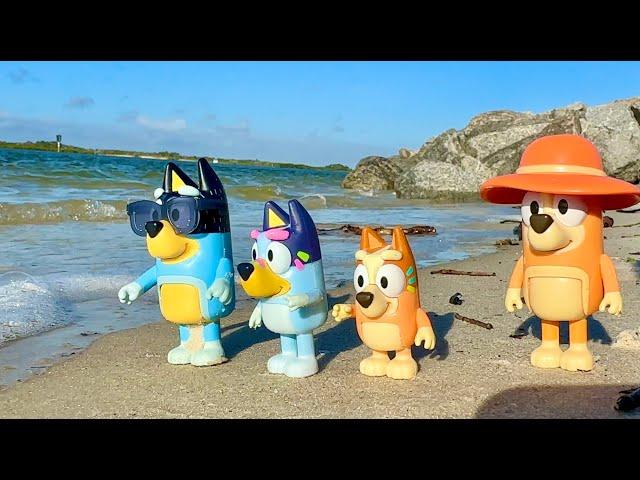 Bluey & Bingo Beach adventure ‼️ 1 HOUR