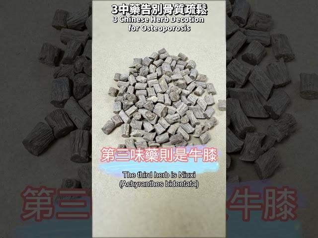 3中藥告別骨質疏鬆Chinese Herb