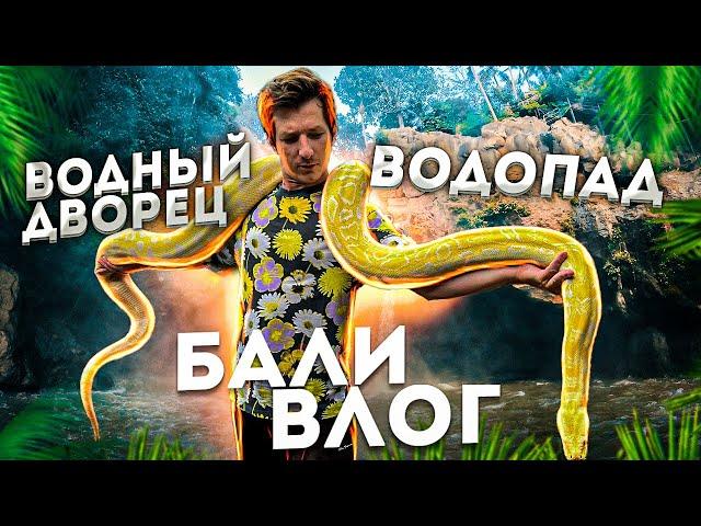 Бали влог: жизнь в Убуде | Водный дворец | Рисовые террасы | Водопады