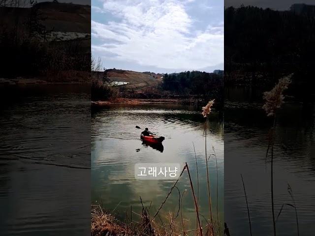 태평양항해
