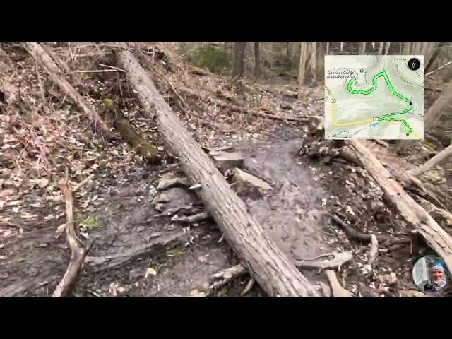 Webster’s Falls in the Spring – Full trail (one way) Timelapse @InTheWildTrails