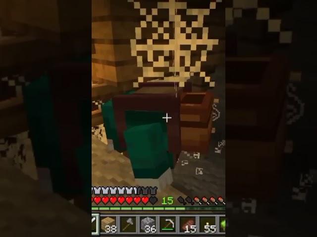 I helped the stucked Rascal and then he disappeared #minecraft #shorts #rascal