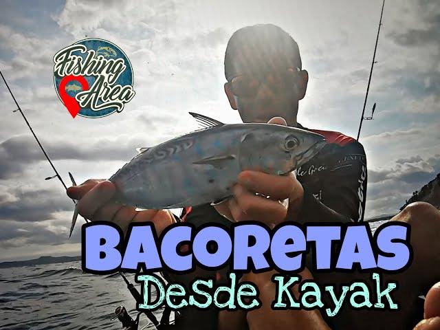 Bacoretas desde kayak