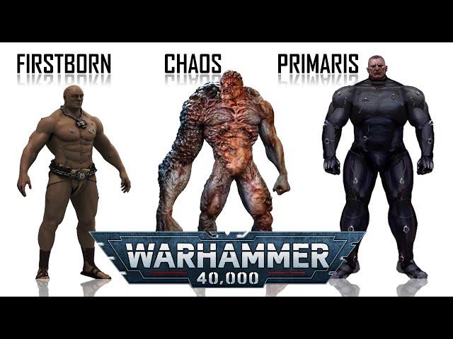 Space Marine Differences - Firstborn, Chaos and Primaris (Warhammer 40K)