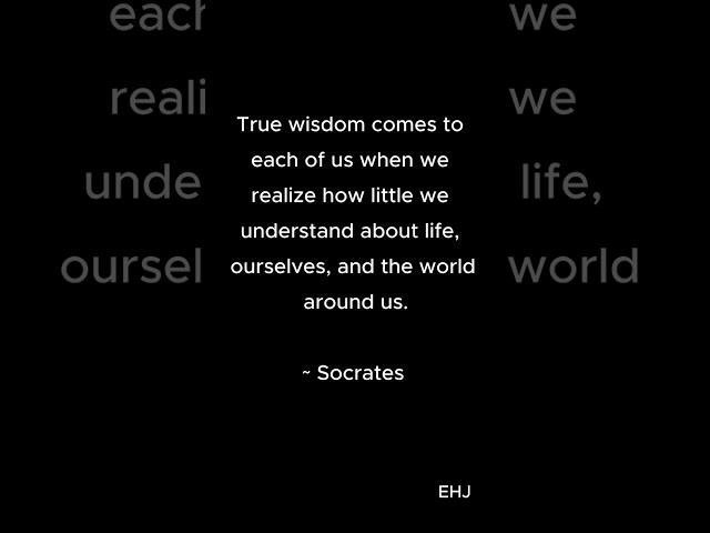 The Humble Spark of Wisdom